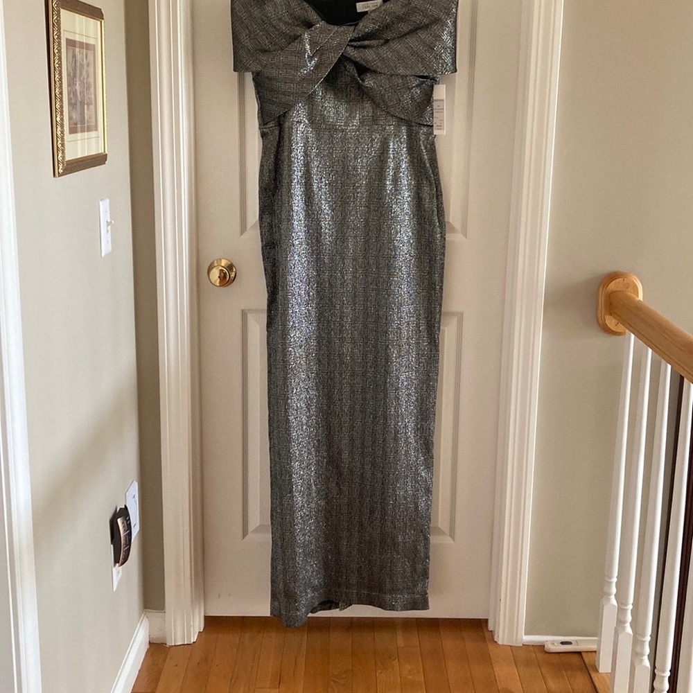 Brand New Teri Jon by Rickie Freeman Gown